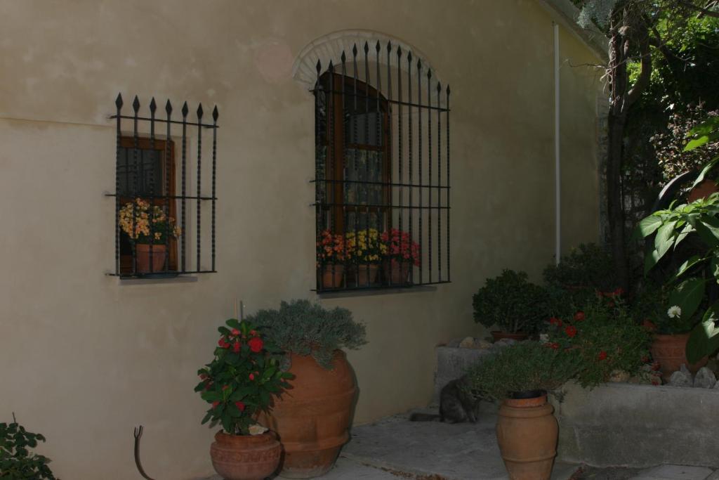 Agriturismo Il Colto San Gimignano Buitenkant foto