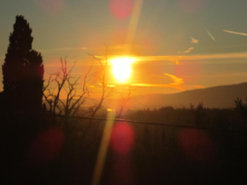 Agriturismo Il Colto San Gimignano Buitenkant foto
