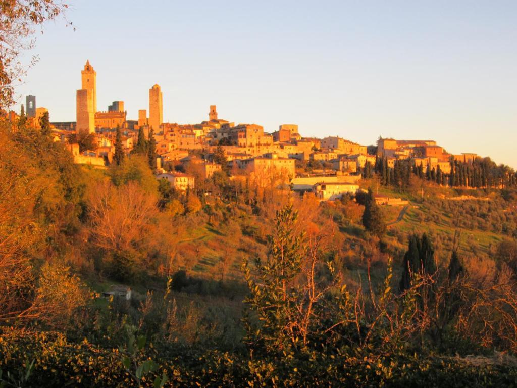 Agriturismo Il Colto San Gimignano Buitenkant foto