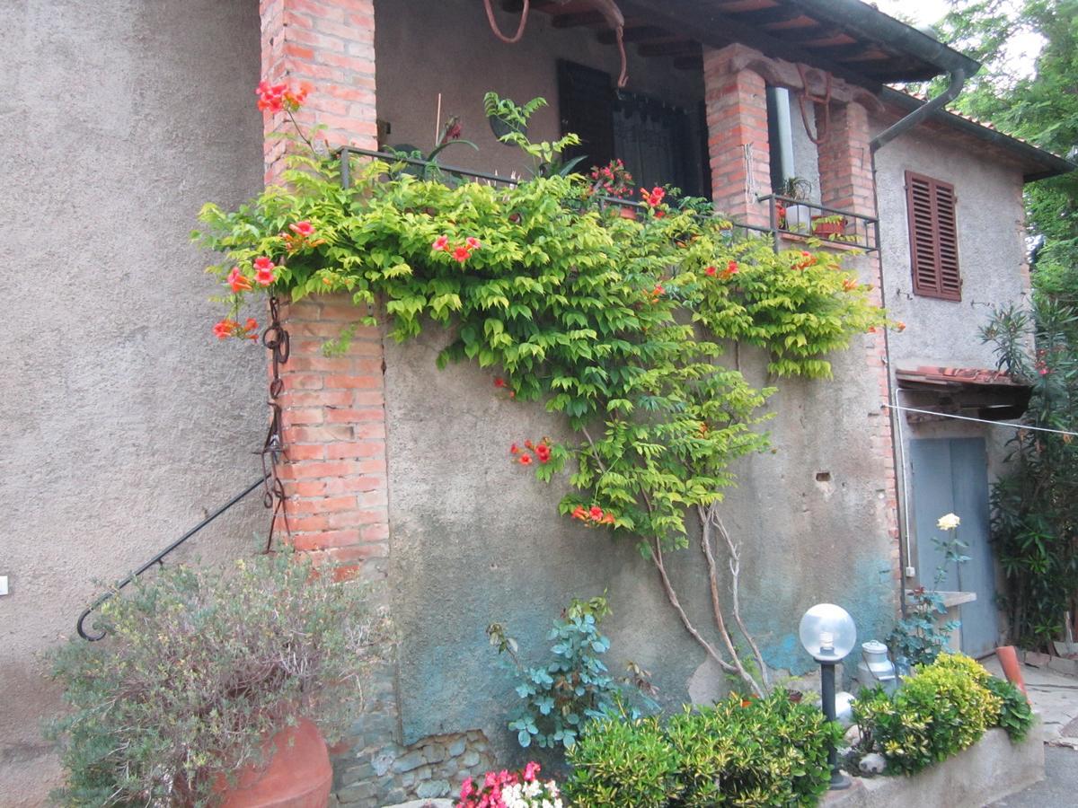 Agriturismo Il Colto San Gimignano Buitenkant foto